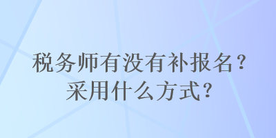 税务师有没有补报名？采用什么方式？