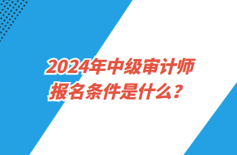 2024年中级审计师报名条件是什么？