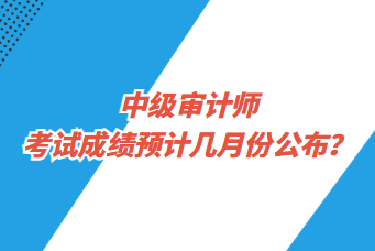中级审计师考试成绩预计几月份公布？