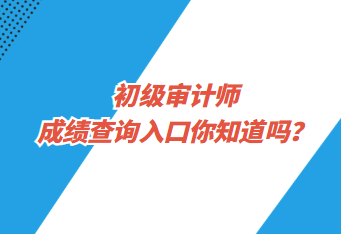 初级审计师成绩查询入口你知道吗？