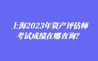 上海2023年资产评估师考试成绩在哪查询？