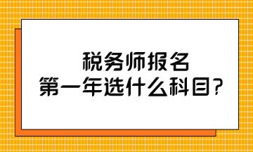 税务师报名第一年选什么科目？