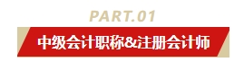中级会计职称和哪个证书同时备考最适配？多证在手 多种选择！