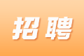 四川德文会计师事务所招聘审计实习生啦