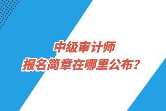 中级审计师报名简章在哪里公布？