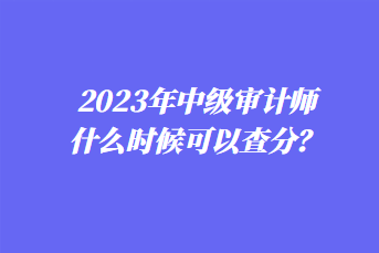 2023年中级审计师什么时候可以查分？