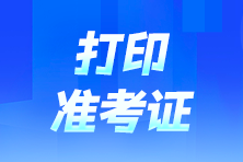 税务师准考证打印