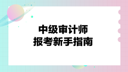 中级审计师报考新手指南