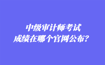 中级审计师考试成绩在哪个官网公布？