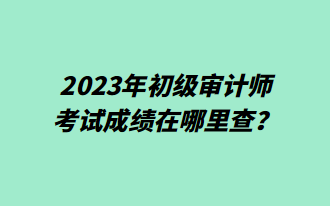 2023年初级审计师考试成绩在哪里查？