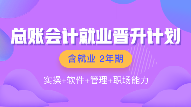 总账会计就业晋升计划