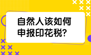 自然人该如何申报印花税？指南来了，速看