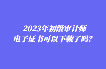 2023年初级审计师电子证书可以下载了吗？