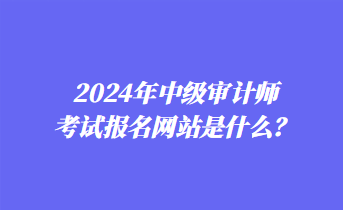 2024年中级审计师考试报名网站是什么？