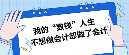 我的“数钱”人生：不想做会计却做了会计