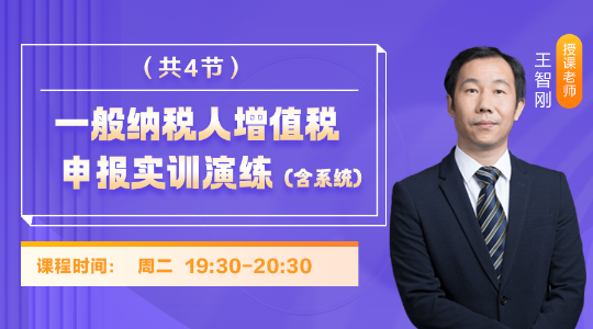 一般纳税人增值税申报实训演练