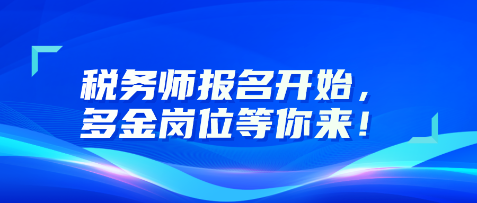 税务师报名开始，多金岗位等你来！