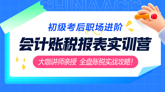 初级会计账税实战飞越：账税报表实训营