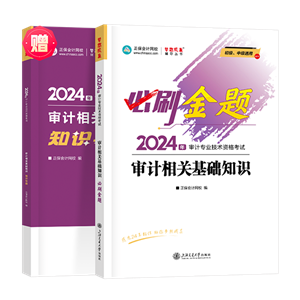 审计相关基础知识必刷金题