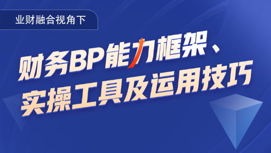 财务bp
