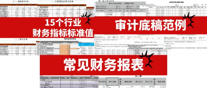 审计相关实操资料