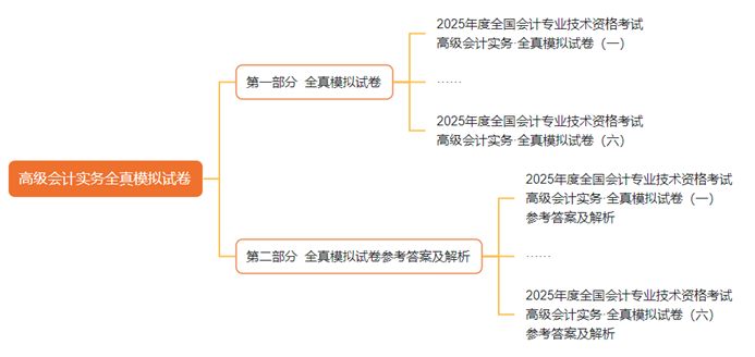 2025年高级会计师全真模拟试卷辅导书全新详解