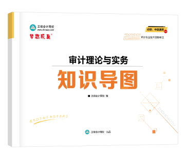 2025-知识导图-审计理论与实务（横版）