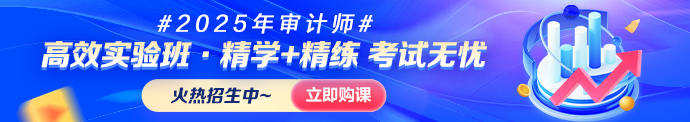 审计师招生方案