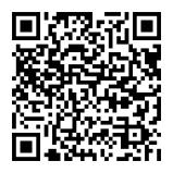 8月11日10点准时开考