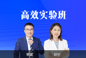 审计师高效实验班